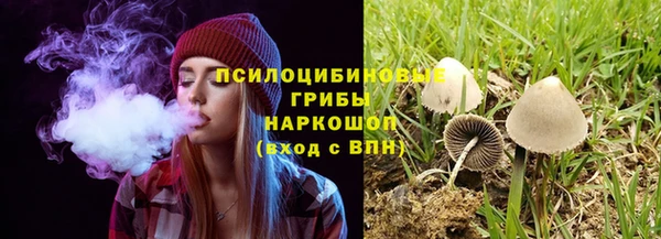 марки lsd Белокуриха